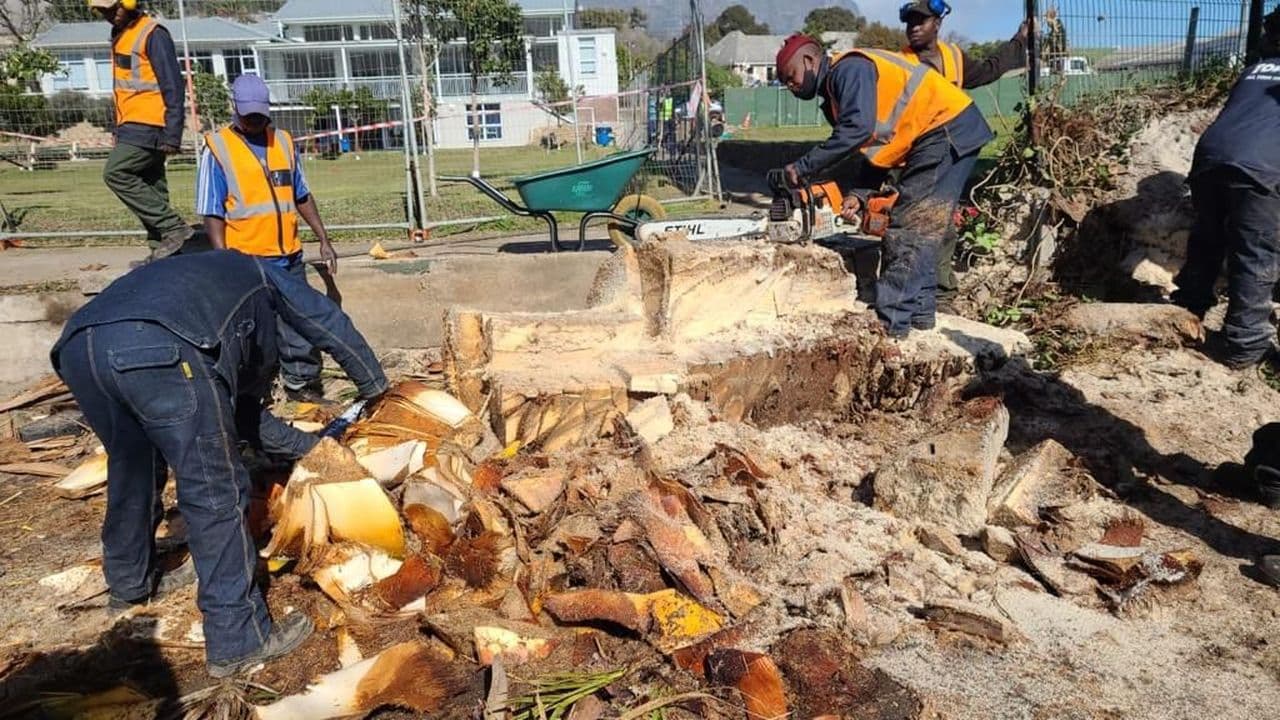 Topfell CC tree services image